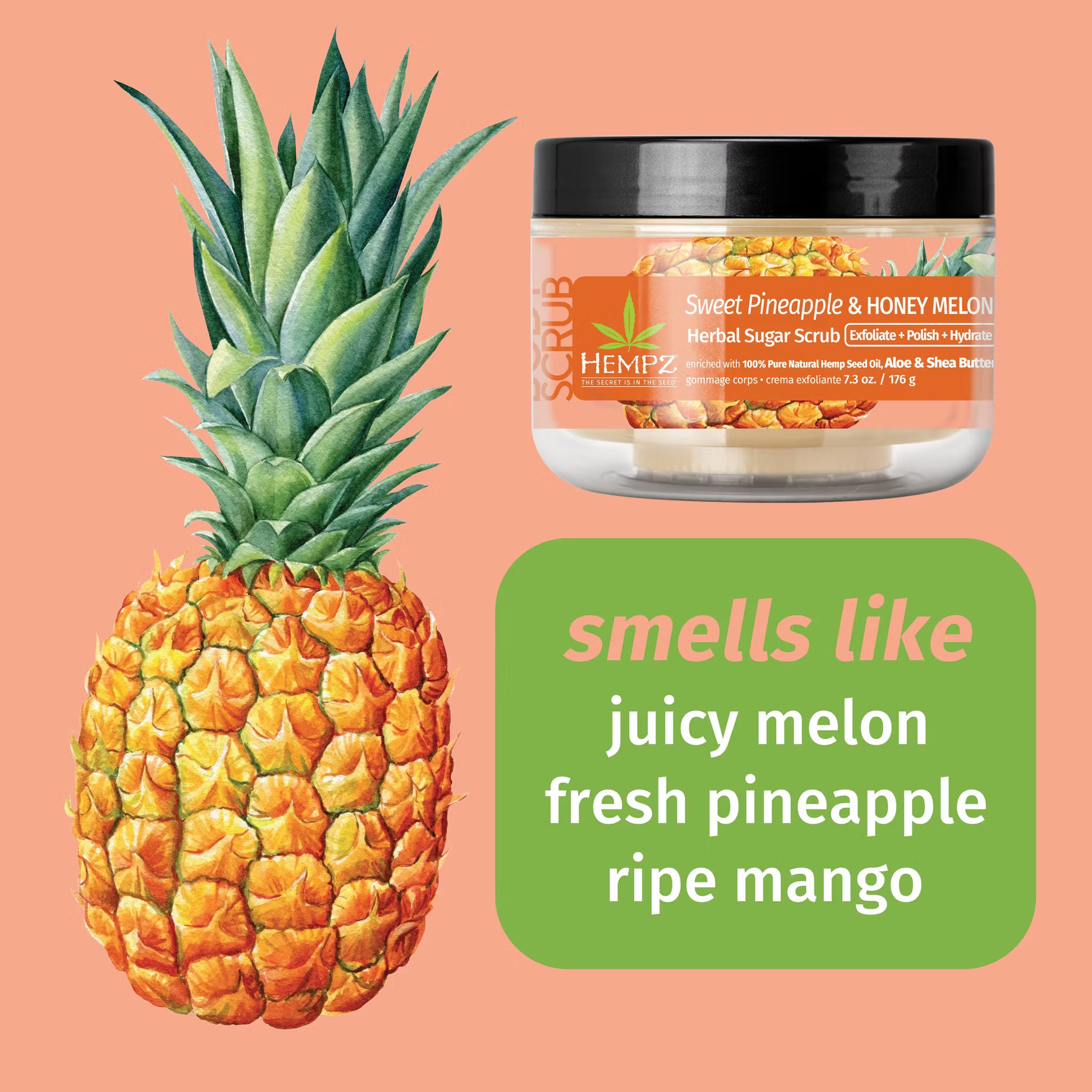 Hempz - Sweet Pineapple & Honey Melon Herbal Body Scrub 176g
