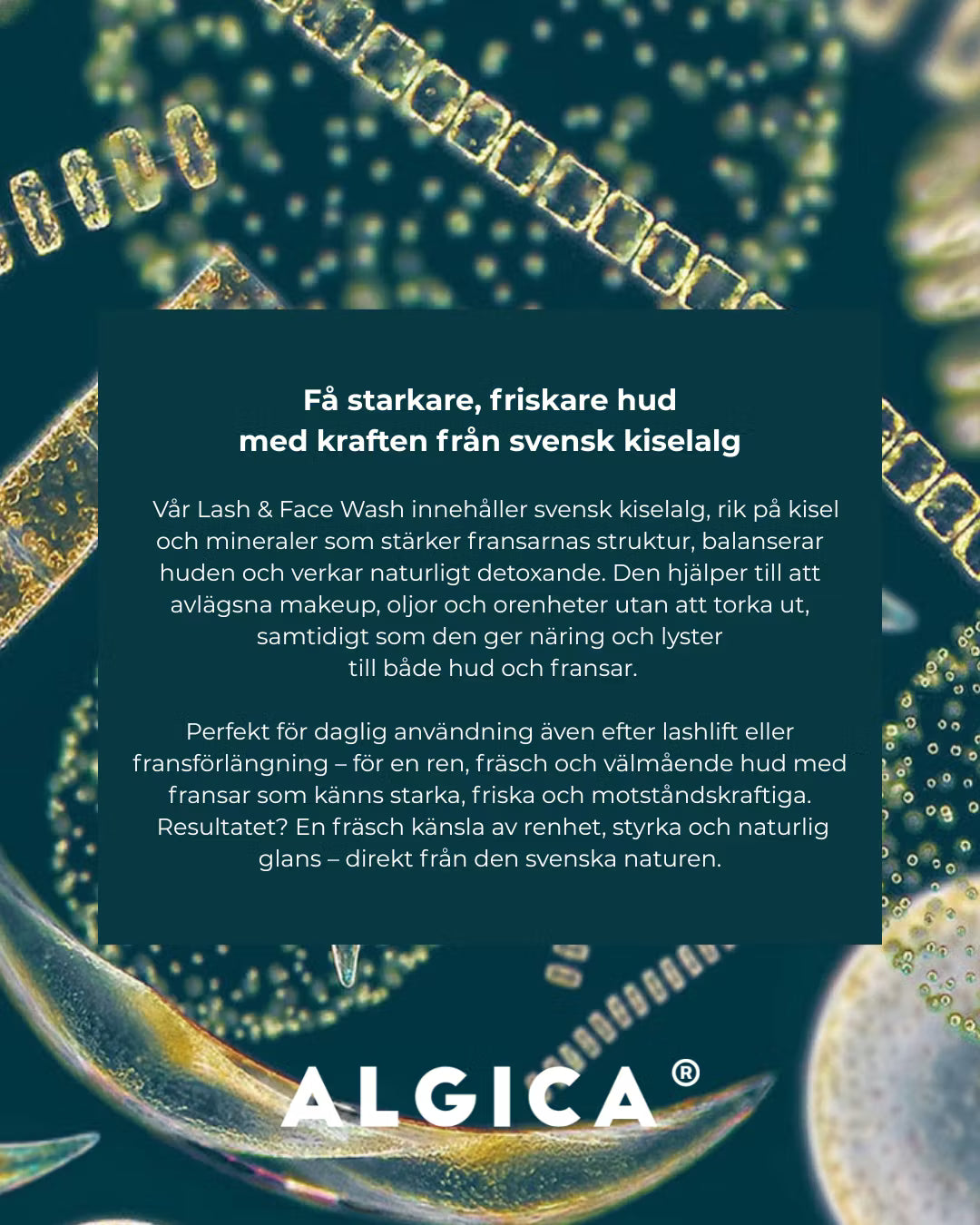 Created By Belle - Lash & Face Wash - Swedish Diatomaceous Earth